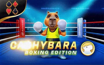 Portada de Cashybara Boxing Edition